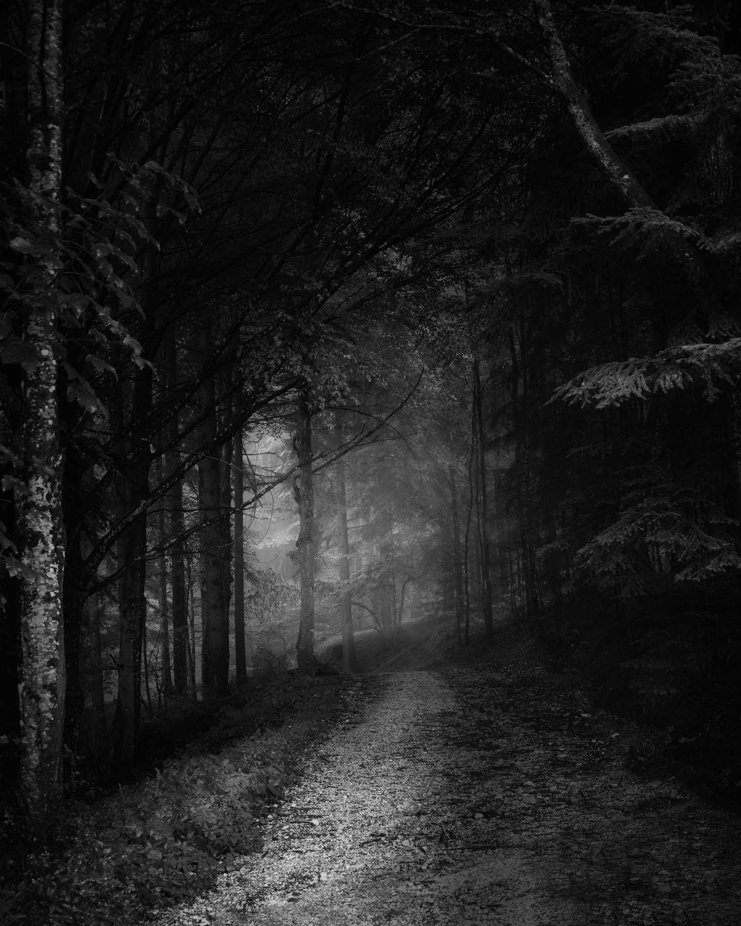 L&rsquo;influence de la dark fantasy sur la littérature contemporaine